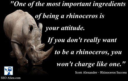 Rhinoceros Success