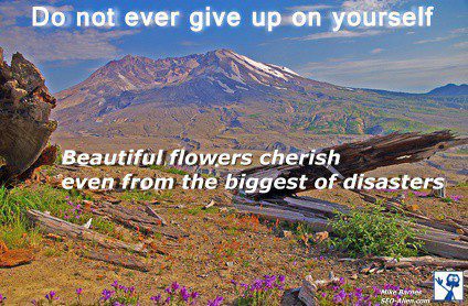 Do not give up!