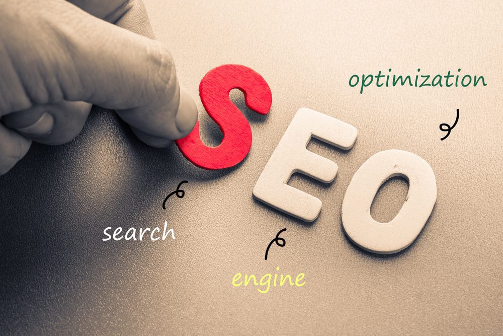 SEO Expert SEO Expert